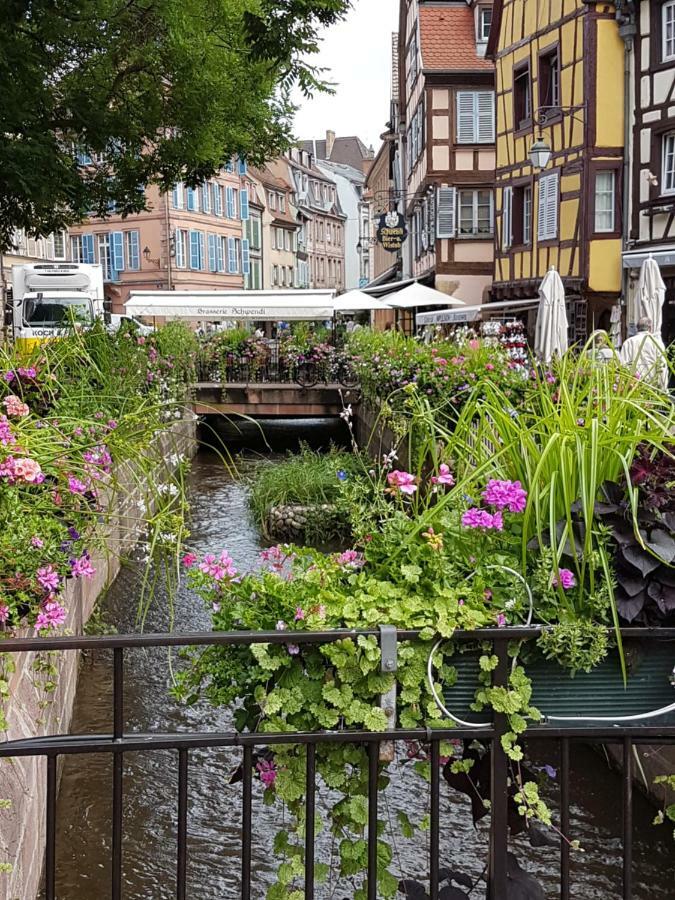 Апартаменты Les Colombages Кольмар Экстерьер фото